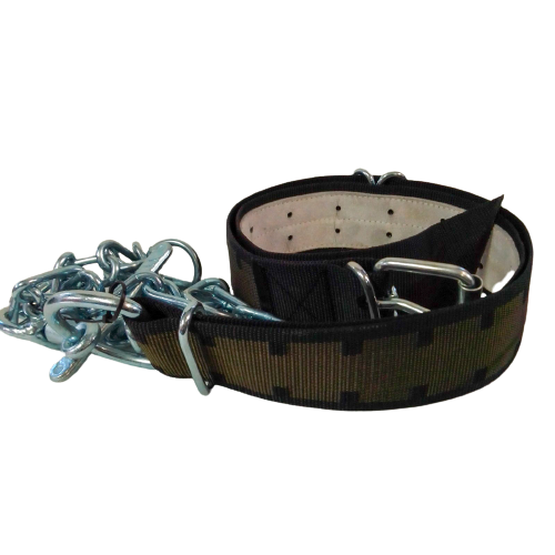 Collare con catena per tori